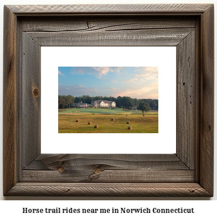 horse trail rides near me in Norwich, Connecticut